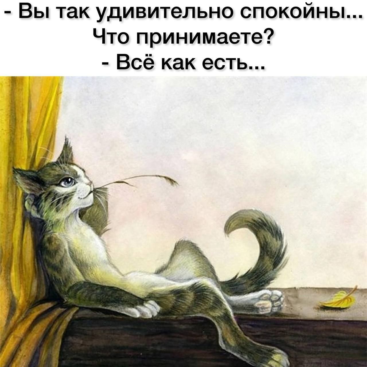 Вы так удивительно спокойны... Что принимаете? Всё как есть...