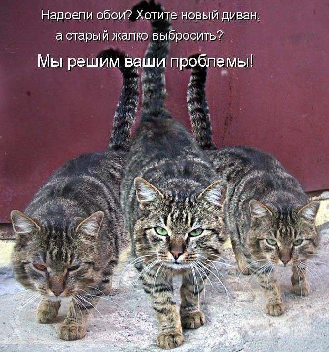 Надоели обои? Хотите новый диван, а старый жалко выбросить? Мы решим ваши проблемы!