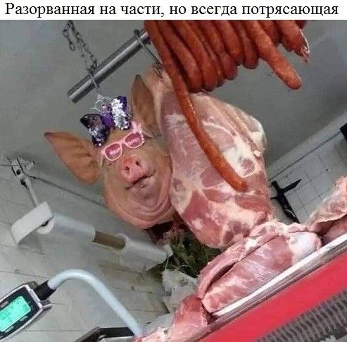 Разорванная на части, но всегда потрясающая
