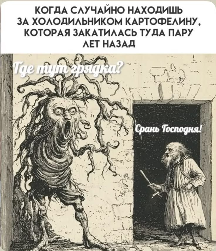 КОГДА СЛУЧАЙНО НАХОДИШЬ ЗА ХОЛОДИЛЬНИКОМ КАРТОФЕЛИНУ, КОТОРАЯ ЗАКАТИЛАСЬ ТУДА ПАРУ ЛЕТ НАЗАД Где тут грядка? Срань Господня!
