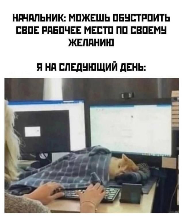 НАЧАЛЬНИК: МОЖЕШЬ ОБУСТРОИТЬ СВОЕ РАБОЧЕЕ МЕСТО ПО СВОЕМУ ЖЕЛАНИЮ. Я НА СЛЕДУЮЩИЙ ДЕНЬ: