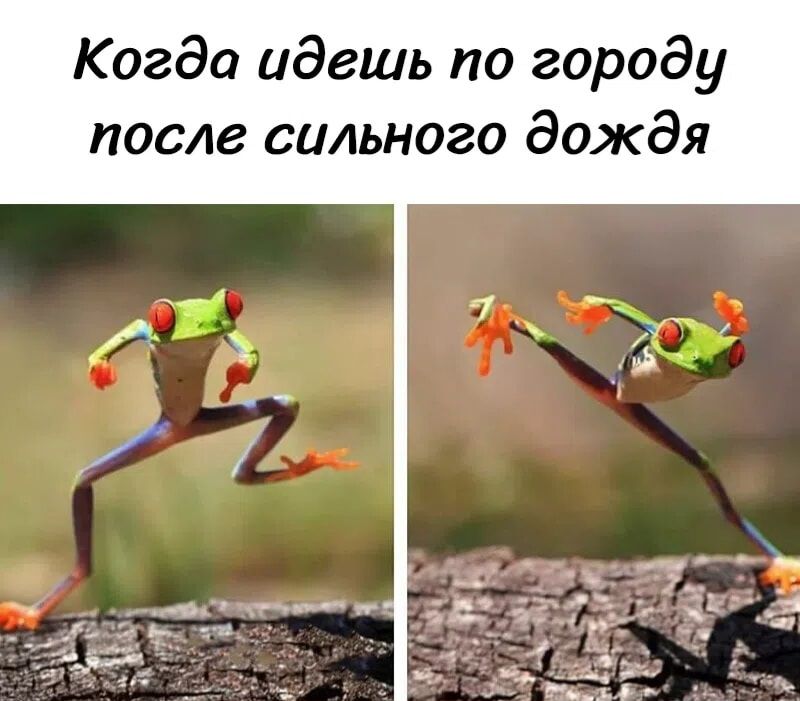 Когда идешь по городу после сильного дождя