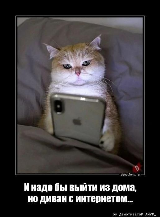 И надо бы выйти из дома, но диван с интернетом...