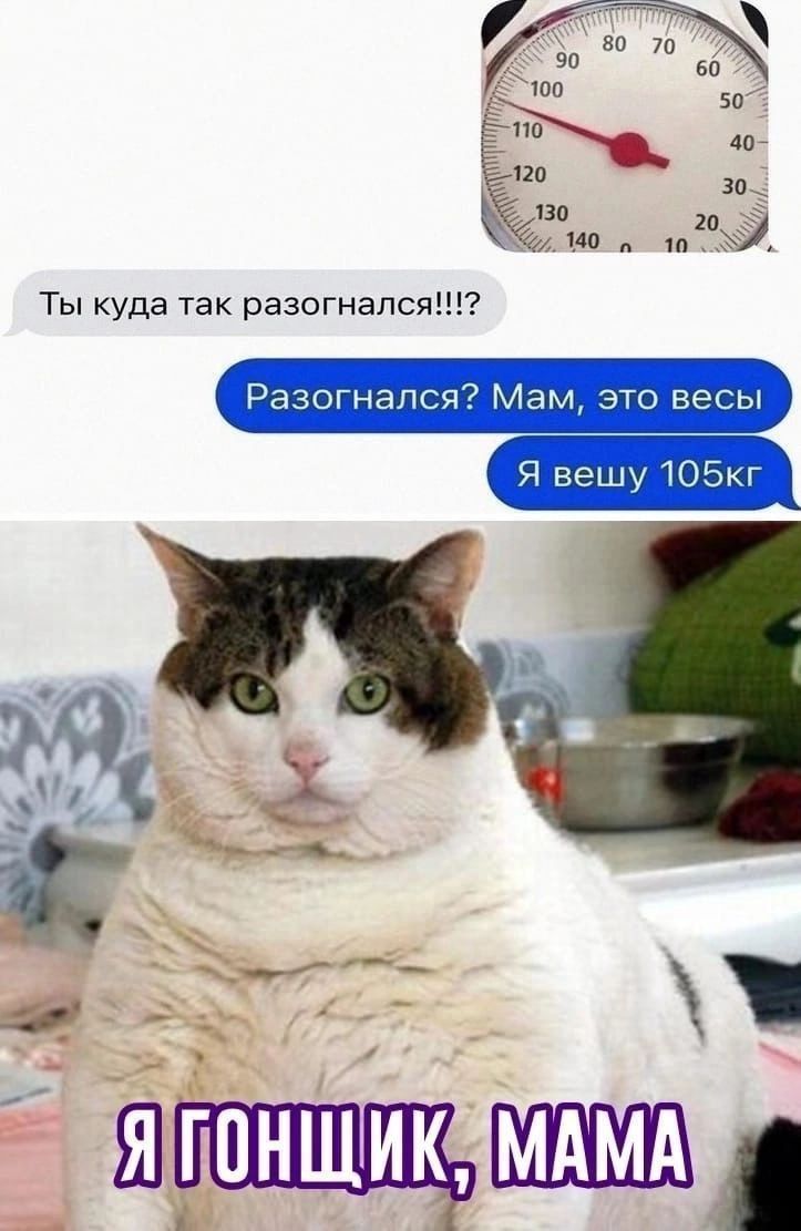 Ты куда так разогнался!!!? Разогнался? Мам, это весы. Я вешу 105кг. Я гонщик, мама