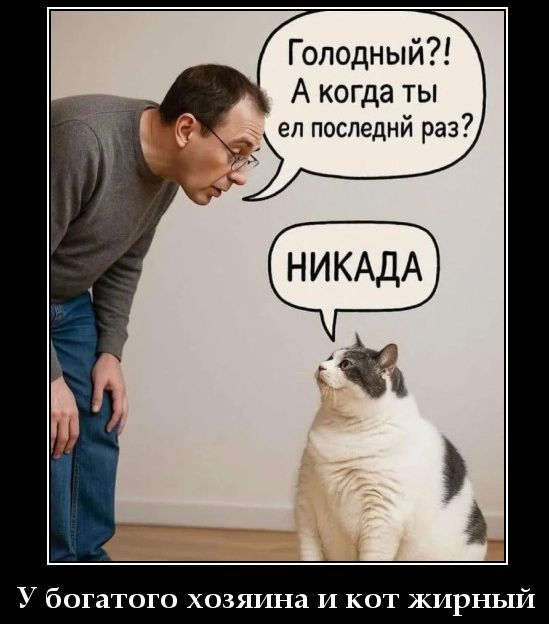Голодный?! А когда ты ел последний раз? НИКАДА У богатого хозяина и кот жирный