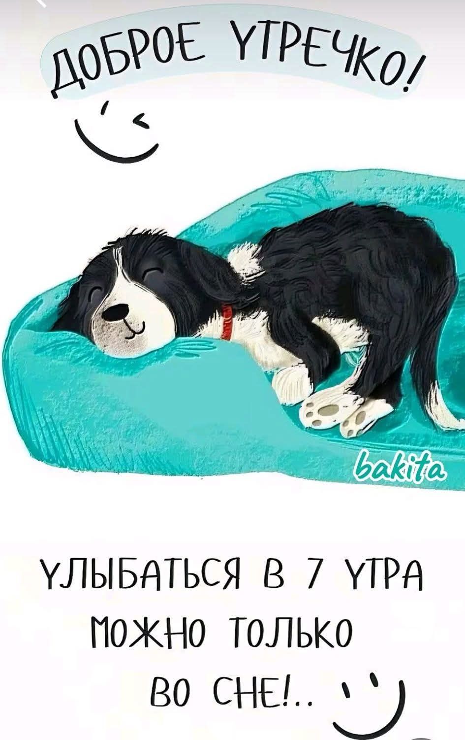 ДОБРОЕ УТРЕЧКО! УЛЫБАТЬСЯ В 7 УТРА МОЖНО ТОЛЬКО ВО СНЕ!..