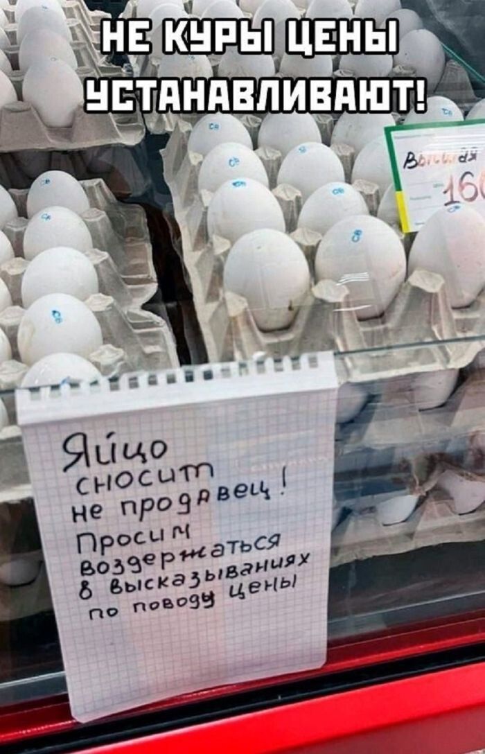 НЕ КУРЫ ЦЕНЫ УСТАНАВЛИВАЮТ! Яйцо сносит не продавец! Просим воздержаться в высказываниях по поводу цены
