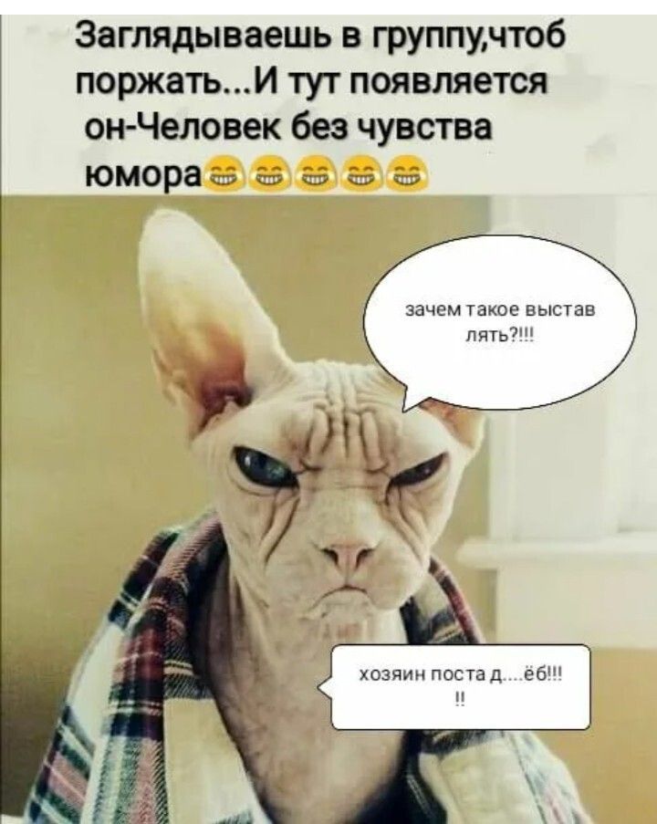 Заглядываешь в группу, чтоб поржать... И тут появляется он - Человек без чувства юмора 😂😂😂😂😂 зачем такое выставлять?!!!! хозяин поста д....ёб!!! !!