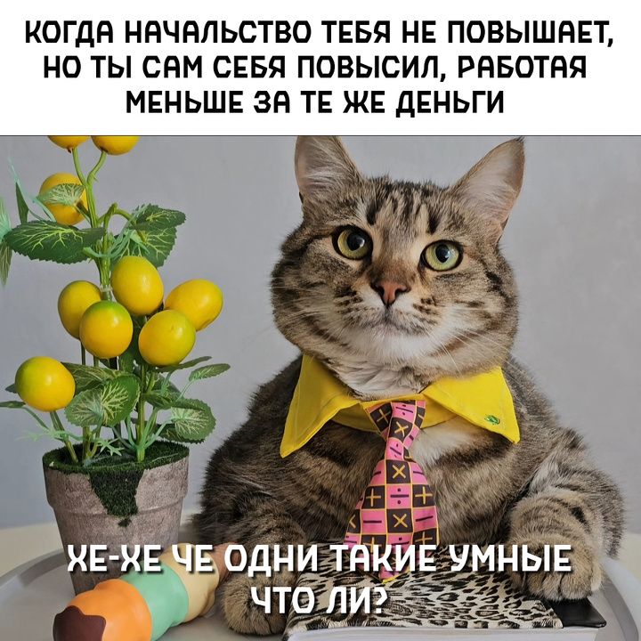 КОГДА НАЧАЛЬСТВО ТЕБЯ НЕ ПОВЫШАЕТ, НО ТЫ САМ СЕБЯ ПОВЫСИЛ, РАБОТАЯ МЕНЬШЕ ЗА ТЕ ЖЕ ДЕНЬГИ. ХЕ-ХЕ ЧЕ ОДНИ ТАКИЕ УМНЫЕ ЧТО ЛИ?