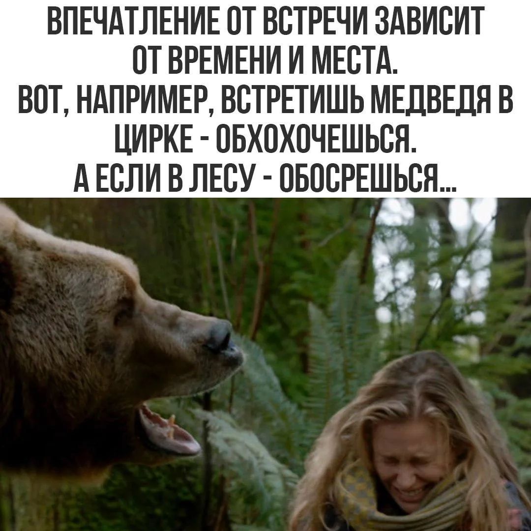 Впечатление от встречи зависит от времени и места. Вот, например, встретишь медведя в цирке - обхохочешься. А если в лесу - обосрешься...