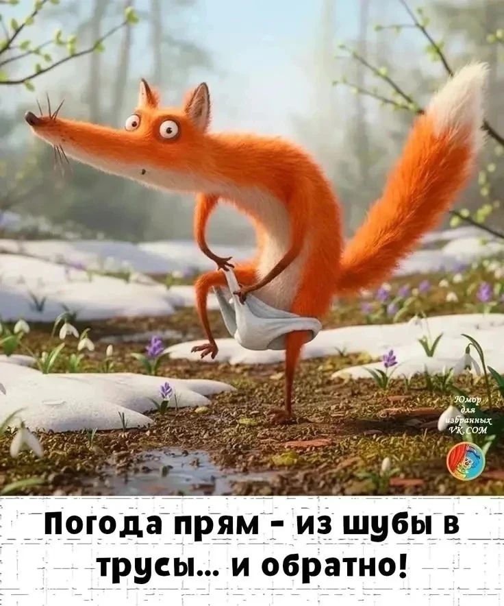Погода прям - из шубы в трусы... и обратно! Юмор для избранных VK.COM
