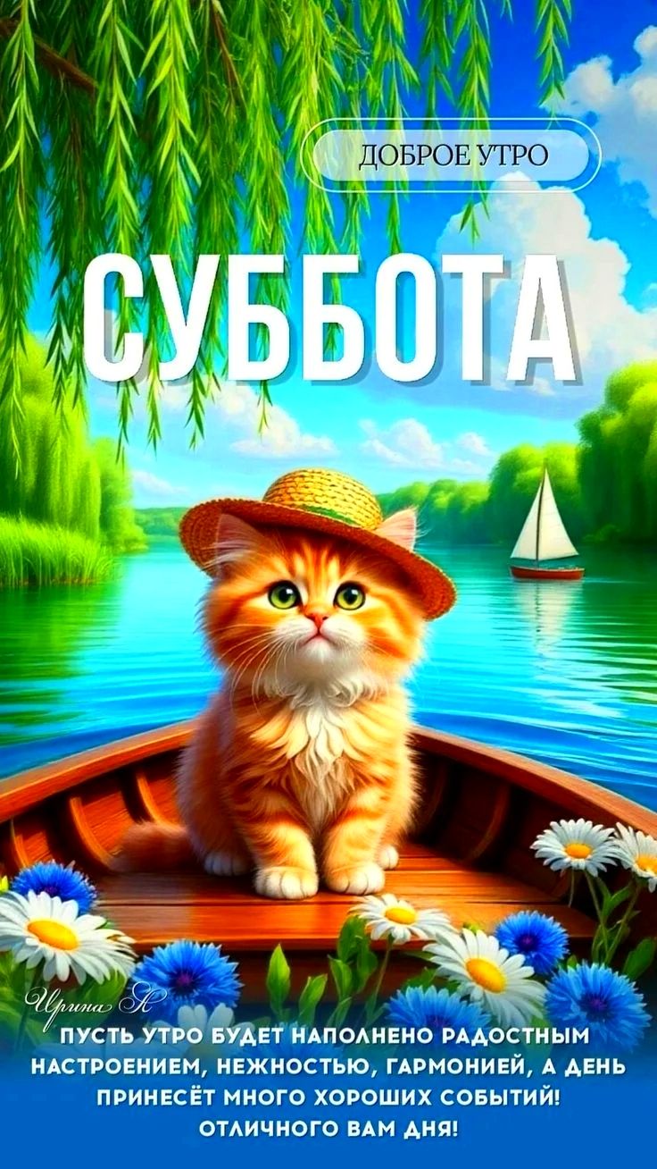 ДОБРОЕ УТРО СУББОТА ПУСТЬ УТРО БУДЕТ НАПОЛНЕНО РАДОСТНЫМ НАСТРОЕНИЕМ, НЕЖНОСТЬЮ, ГАРМОНИЕЙ, А ДЕНЬ ПРИНЕСЁТ МНОГО ХОРОШИХ СОБЫТИЙ! ОТЛИЧНОГО ВАМ ДНЯ!