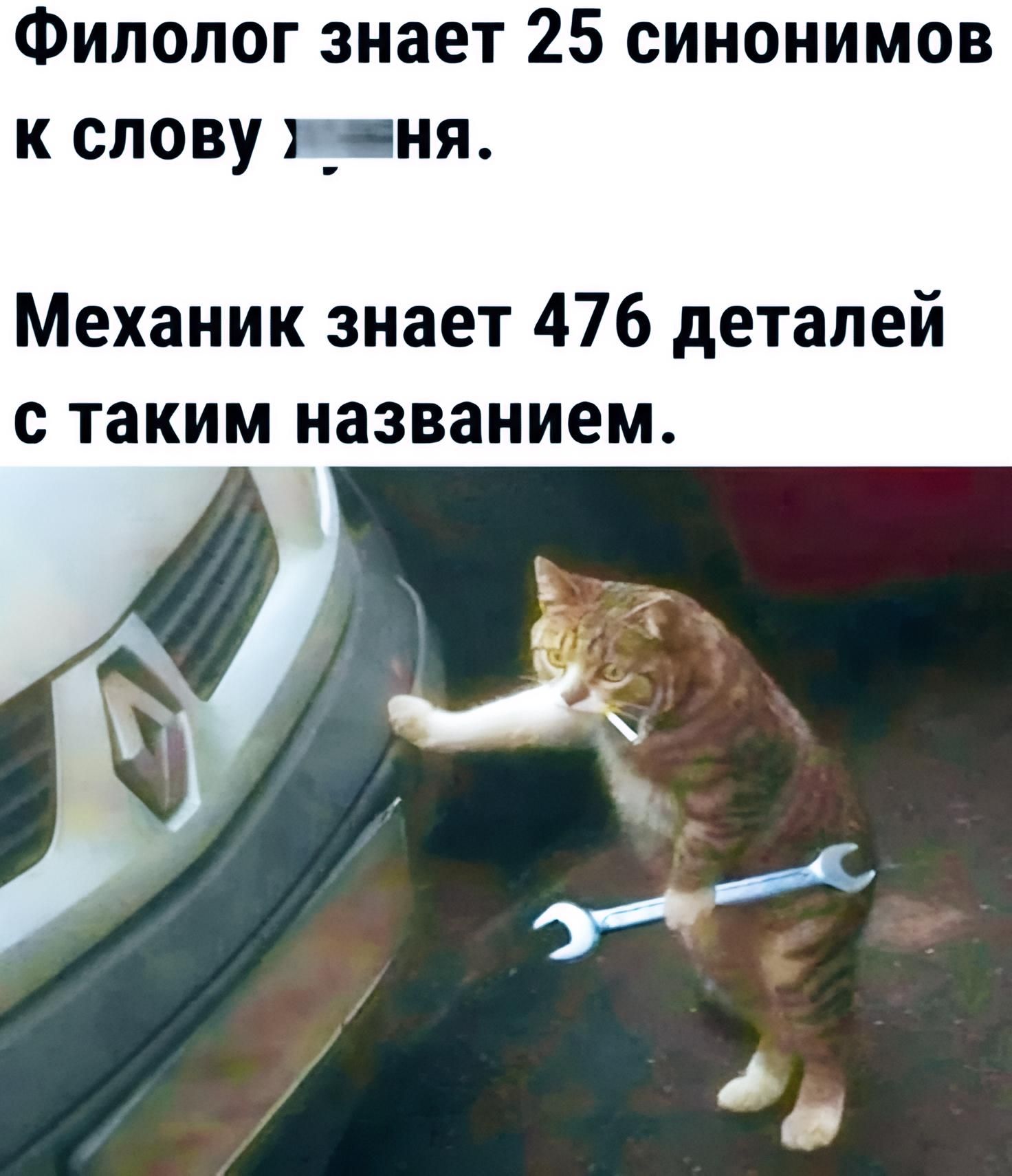 Филолог знает 25 синонимов к слову хуйня. Механик знает 476 деталей с таким названием.