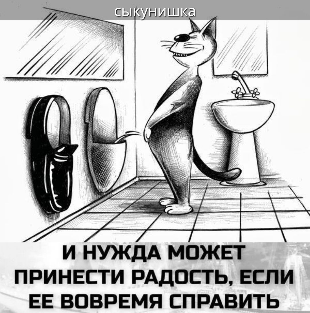 сыкунишка И нужда может принести радость, если ее вовремя справить