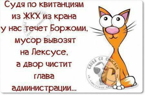 Судя по квитанциям из ЖКХ из крана у нас течет Боржоми, мусор вывозят на Лексусе, а двор чистит глава администрации...