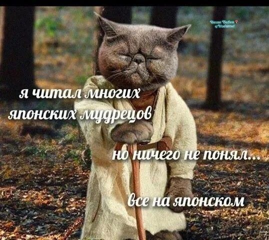 Я читал многих японских мудрецов, но ничего не понял... Все на японском