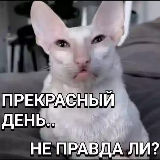 ПРЕКРАСНЫЙ ДЕНЬ.. НЕ ПРАВДА ЛИ?