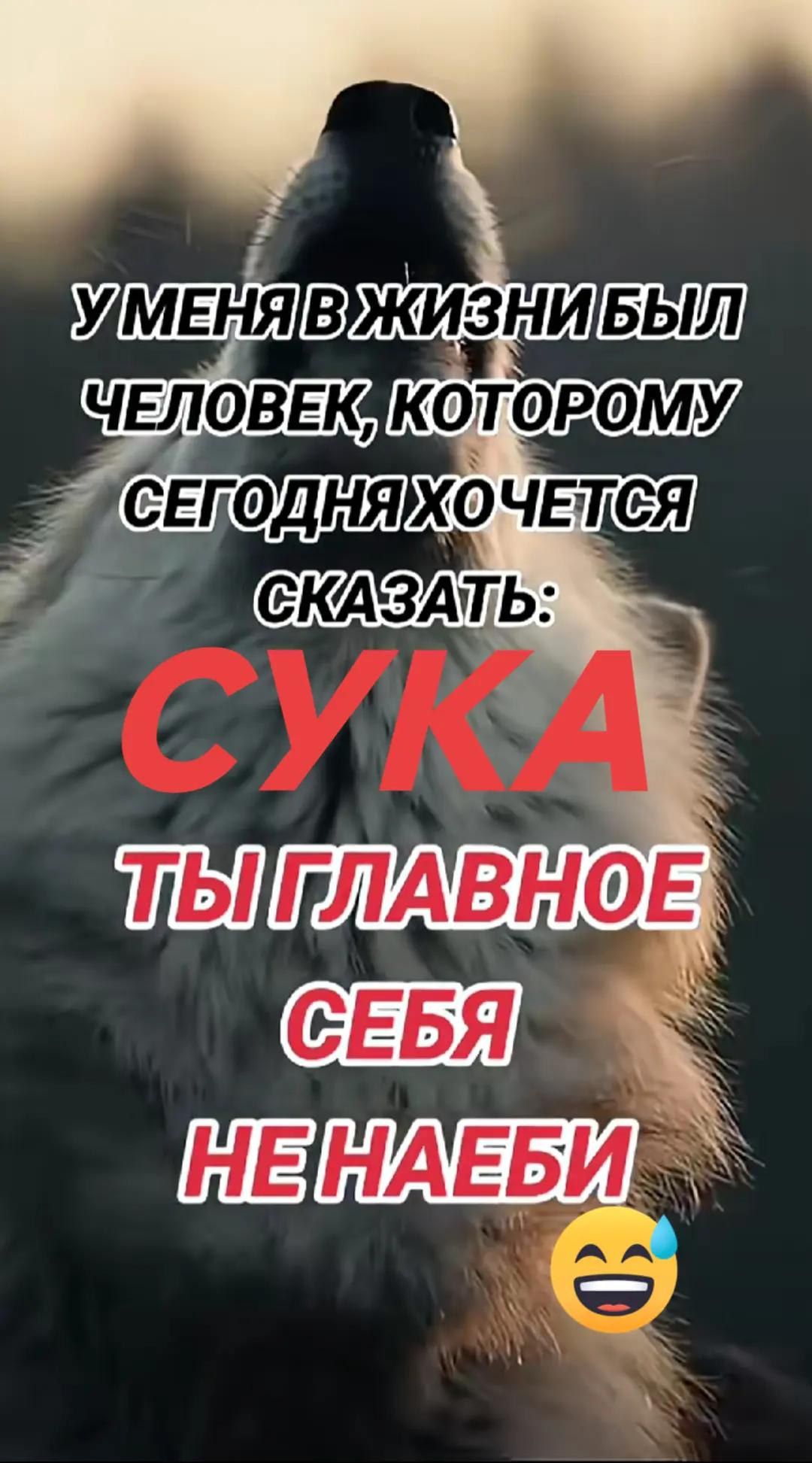 У меня в жизни был человек, которому сегодня хочется сказать: Сука, ты главное себя не наеби