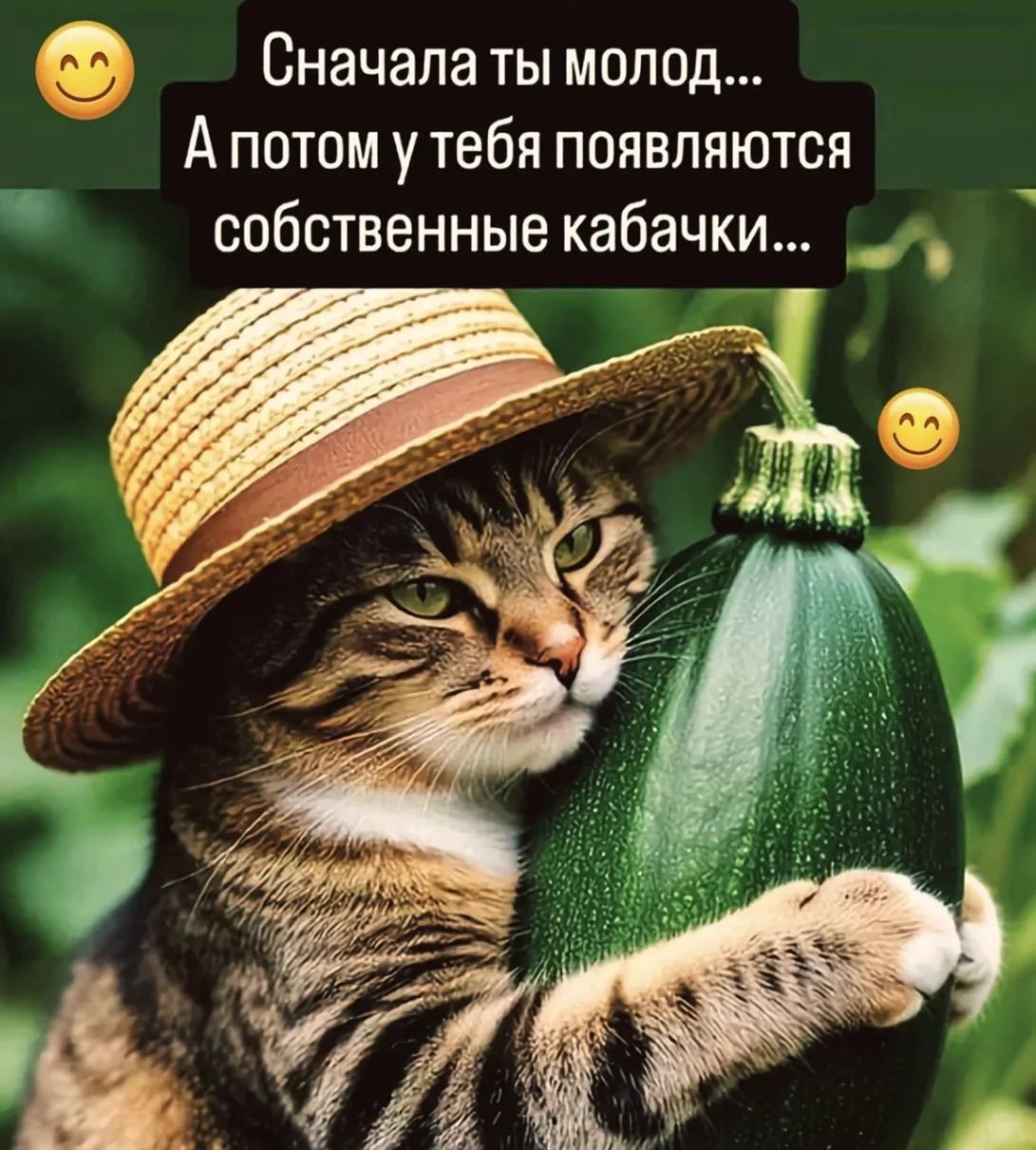 Сначала ты молод... А потом у тебя появляются собственные кабачки...