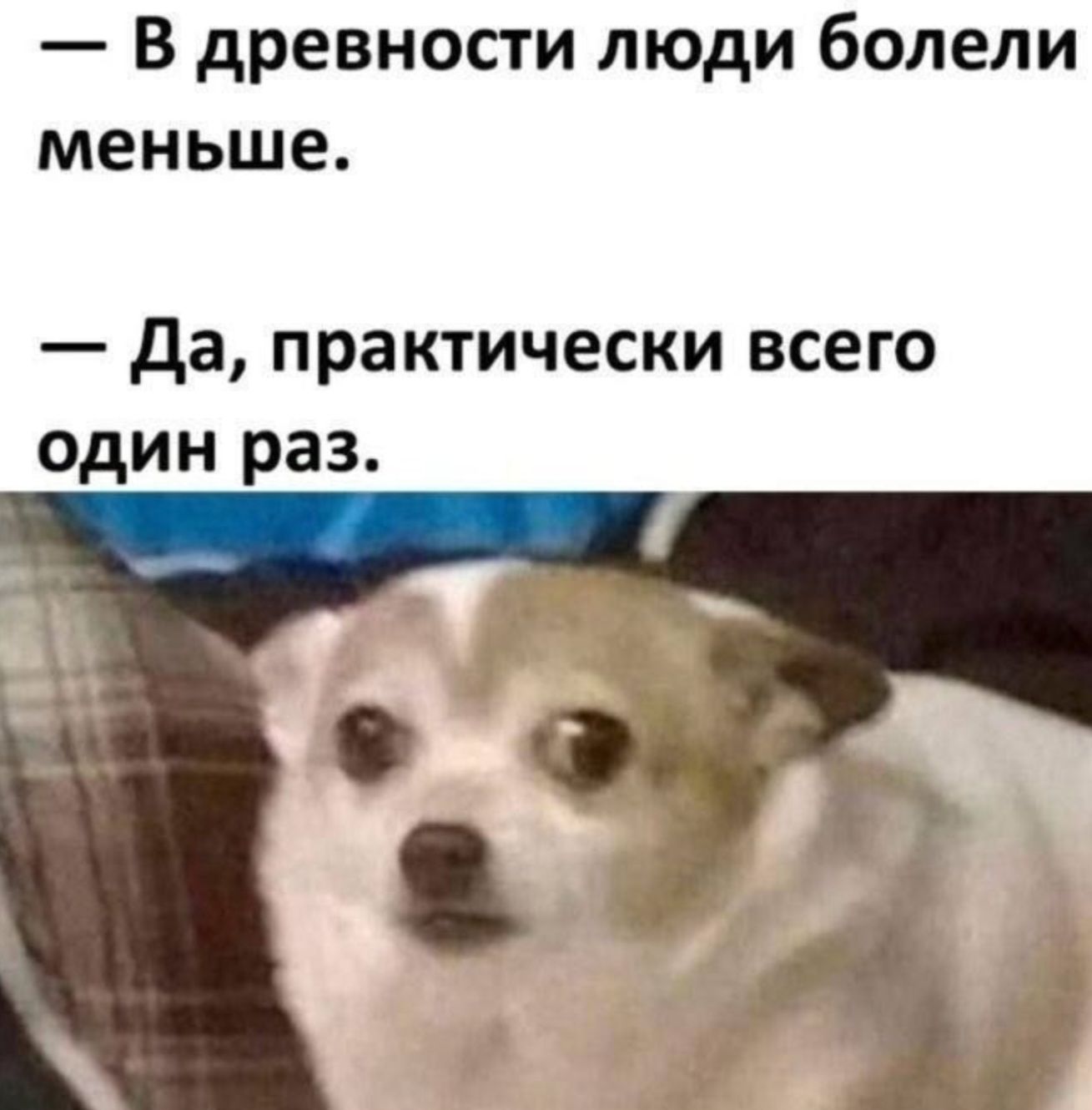 В древности люди болели меньше. Да, практически всего один раз.