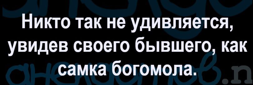 Никто так не удивляется, увидев своего бывшего, как самка богомола.