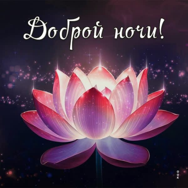 Доброй ночи!