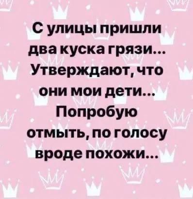С улицы пришли два куска грязи... Утверждают, что они мои дети... Попробую отмыть, по голосу вроде похожи...