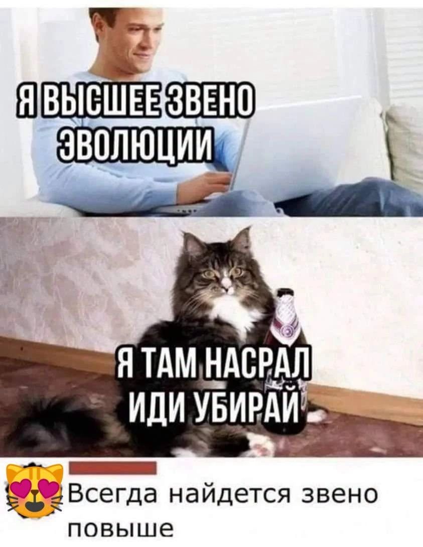 Я высшее звено эволюции. Я там насрал иди убирай. Всегда найдется звено повыше