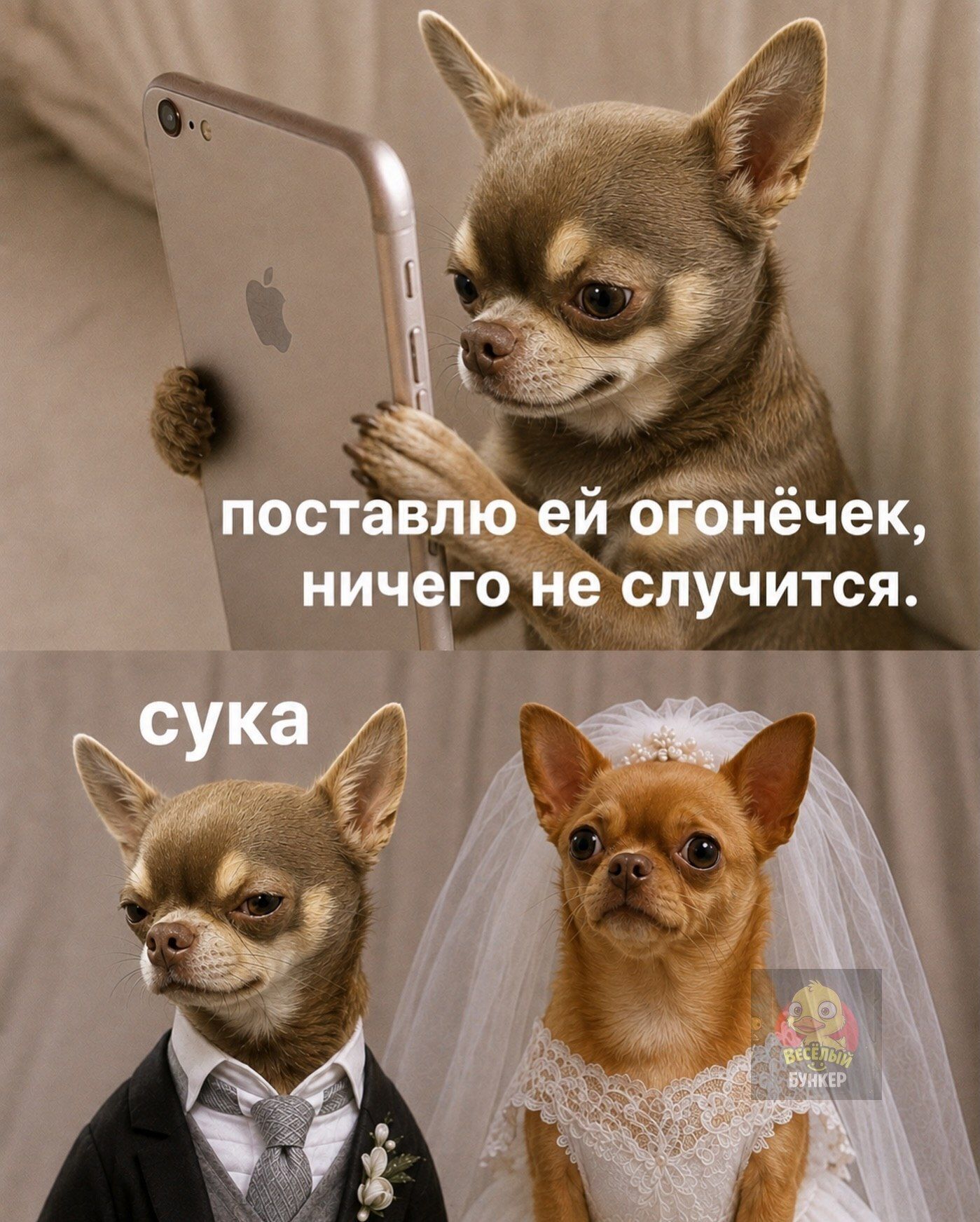 поставлю ей огонёчек, ничего не случится. сука