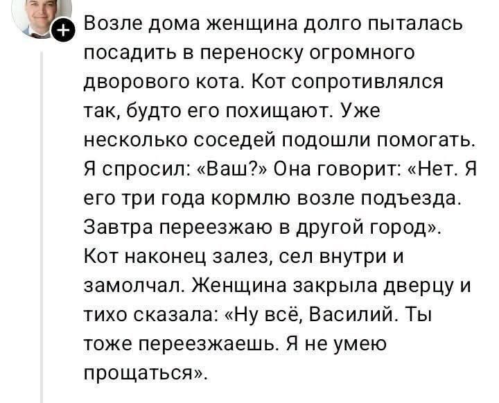 Возле дома женщина долго пыталась посадить в переноску огромного дворового кота. Кот сопротивлялся так, будто его похищают. Уже несколько соседей подошли помогать. Я спросил: «Ваш?» Она говорит: «Нет. Я его три года кормлю возле подъезда. Завтра переезжаю в другой город». Кот наконец залез, сел внутри и замолчал. Женщина закрыла дверцу и тихо