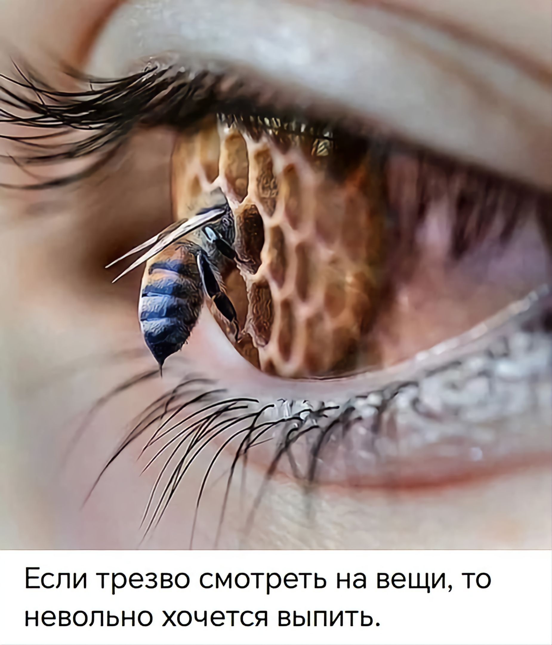 Если трезво смотреть на вещи, то невольно хочется выпить.