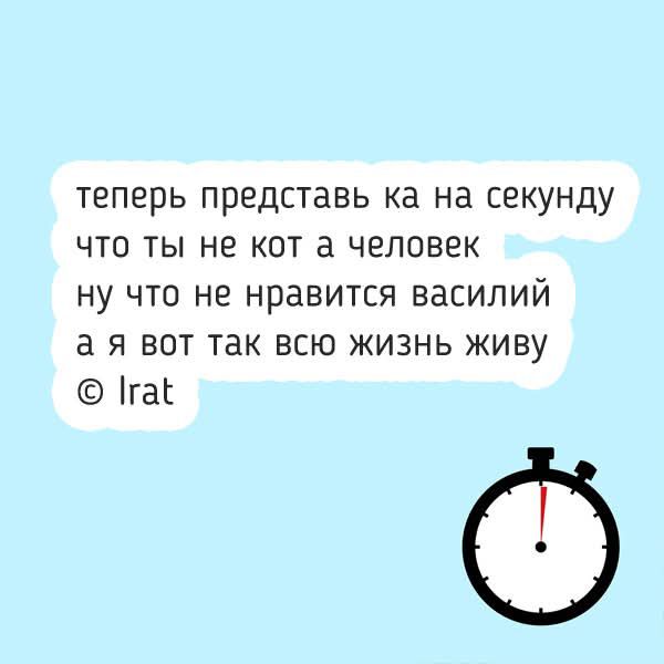 теперь представь ка на секунду что ты не кот а человек ну что не нравится василий а я вот так всю жизнь живу © Irat