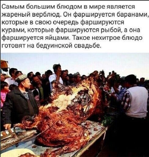Самым большим блюдом в мире является жареный верблюд. Он фаршируется баранами, которые в свою очередь фаршируются курами, которые фаршируются рыбой, а она фаршируется яйцами. Такое нехитрое блюдо готовят на бедуинской свадьбе.