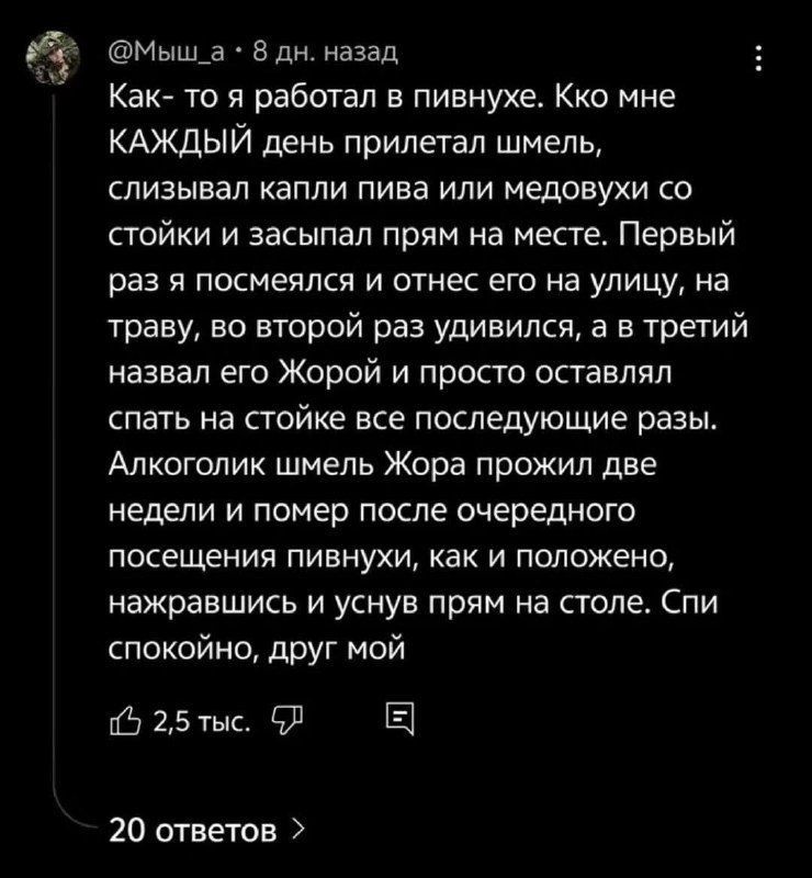 @Мыш_а • 8 дн. назад Как- то я работал в пивнухе. Кко мне КАЖДЫЙ день прилетал шмель, слизывал капли пива или медовухи со стойки и засыпал прям на месте. Первый раз я посмеялся и отнес его на улицу, на траву, во второй раз удивился, а в третий назвал его Жорой и просто оставлял спать на стойке все последующие разы. Алкохолик шмель Жора прожил две