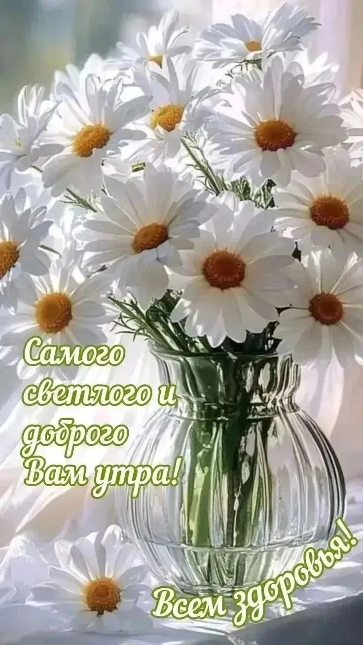 Самого светлого и доброго Вам утра! Всем здоровья!
