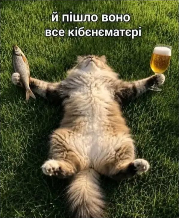 й пішло воно все кібєнєматєрі