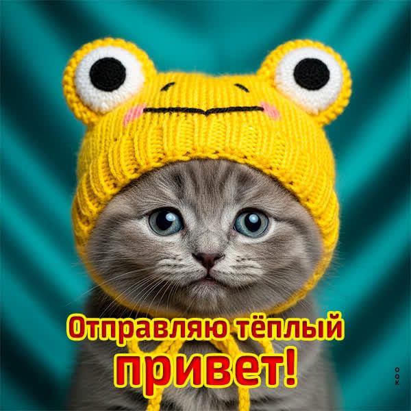 Отправляю тёплый привет!