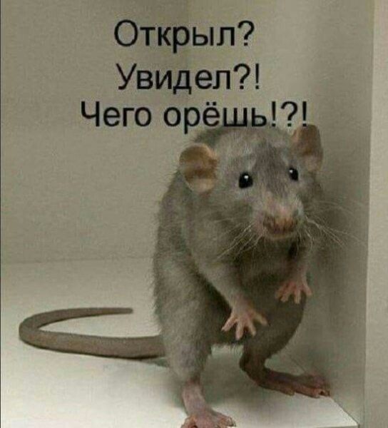 Открыл? Увидел?! Чего орёшь!?!