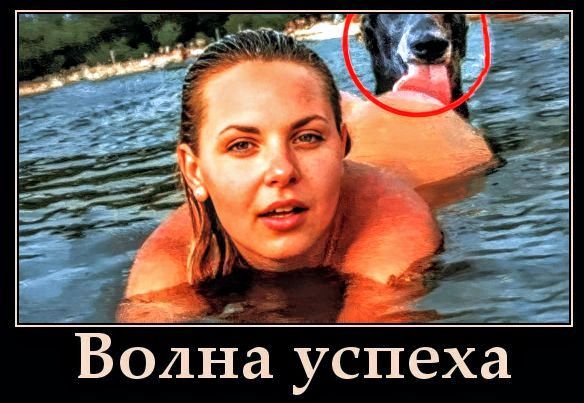 Волна успеха