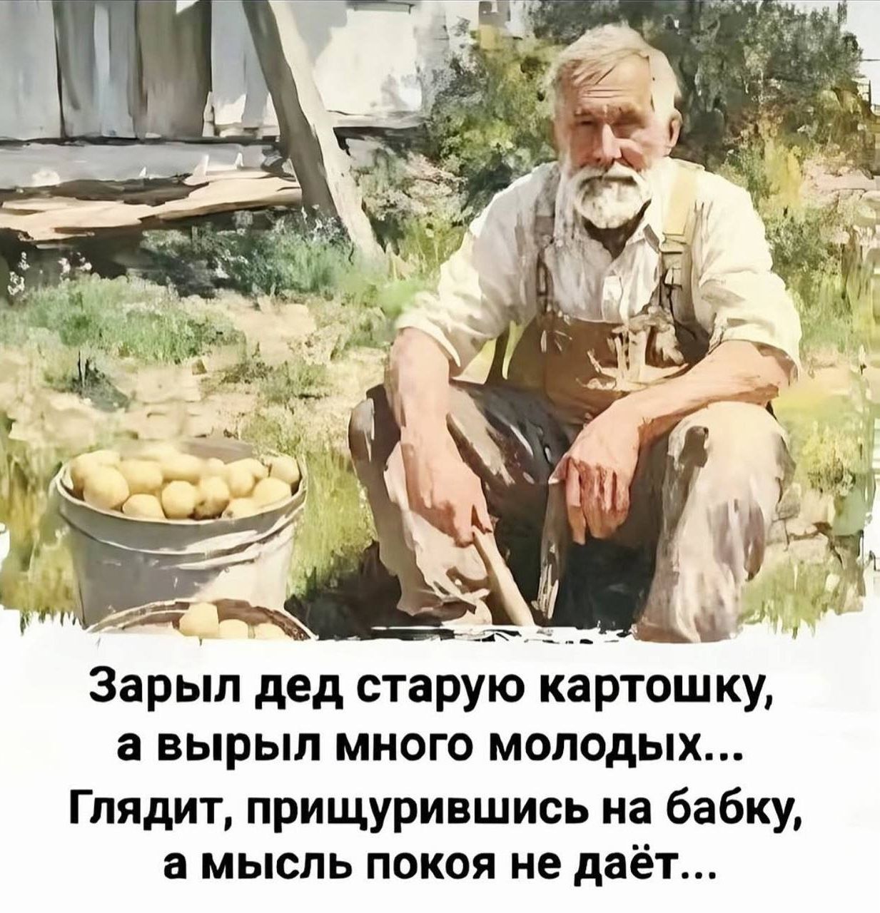 Зарыл дед старую картошку, а вырыл много молодых... Глядит, прищурившись на бабку, а мысль покоя не даёт...