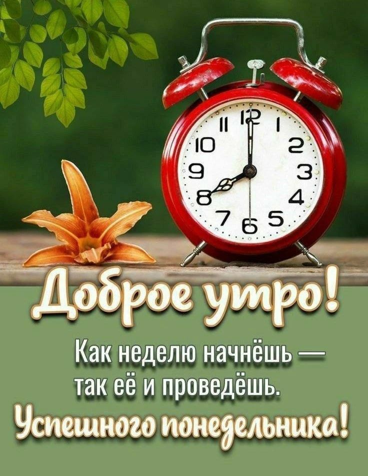 Доброе утро! Как неделю начнёшь — так её и проведёшь. Успешного понедельника!