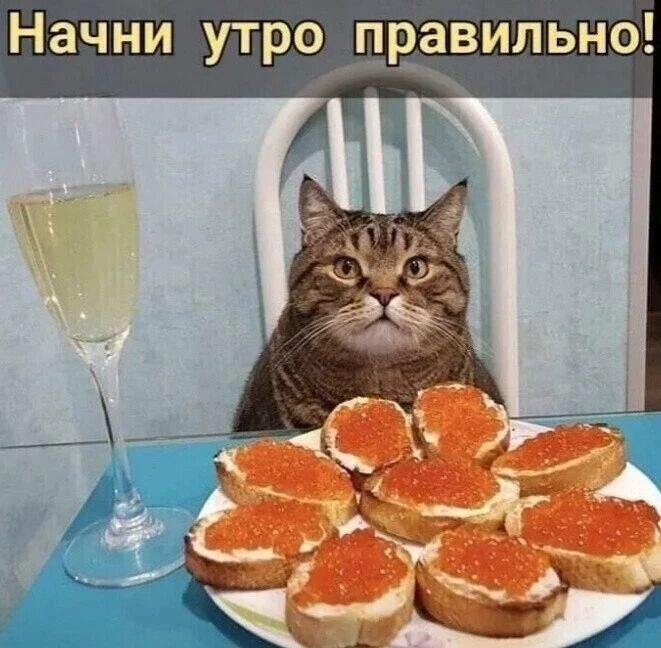 Начни утро правильно!