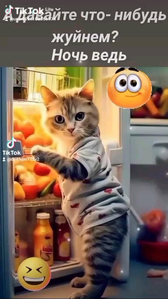 А давайте что-нибудь жуйнем? Ночь ведь