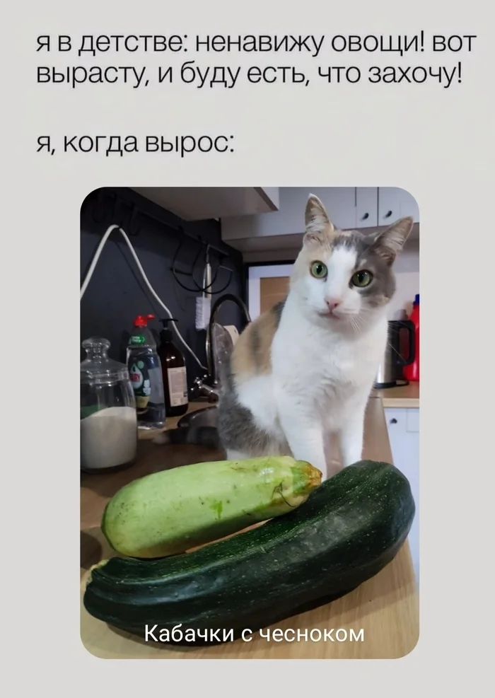 Я в детстве: ненахожу овощи! Вот вырасту, и буду есть, что захочу! Я, когда вырос: Кабачки с чесноком