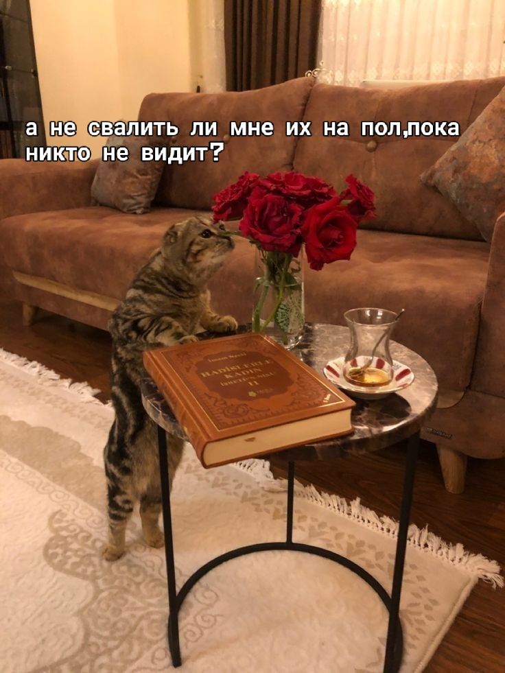 а не свалить ли мне их на пол, пока никто не видит?