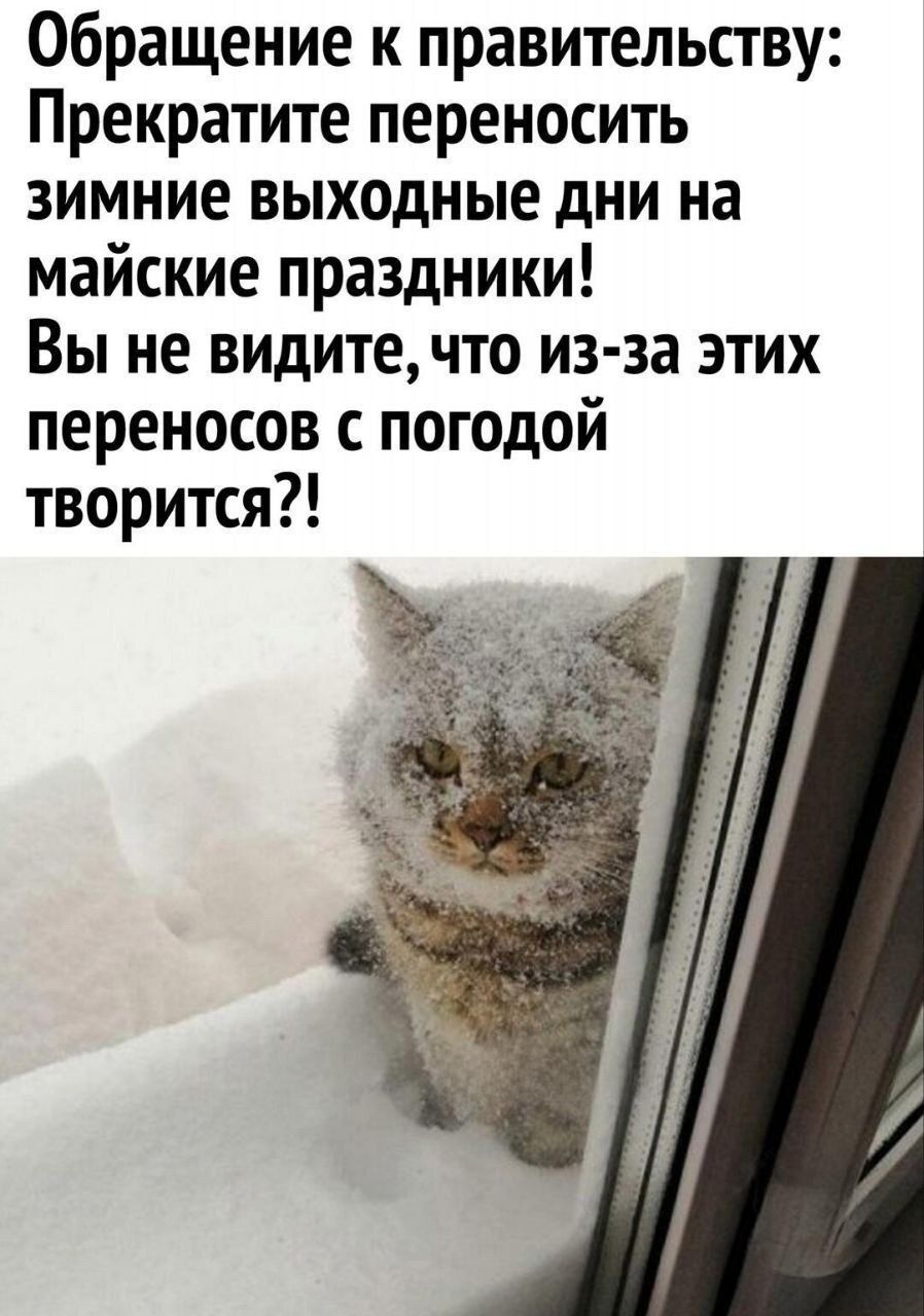 Обращение к правительству: Прекратите переносить зимние выходные дни на майские праздники! Вы не видите, что из-за этих переносов с погодой творится?!