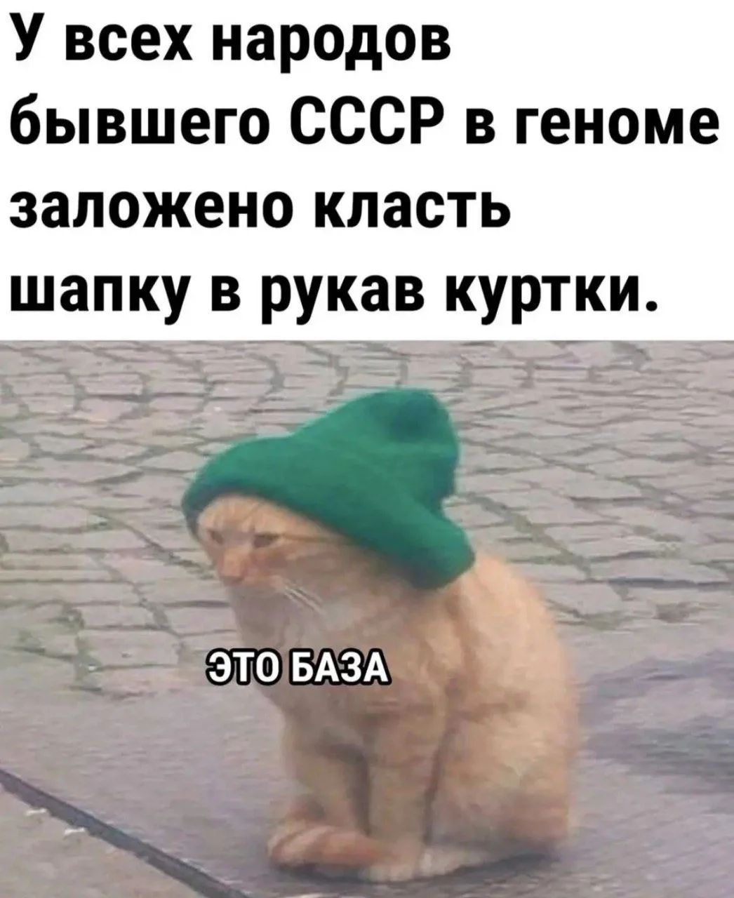 У всех народов бывшего СССР в геноме заложено класть шапку в рукав куртки. ЭТО БАЗА