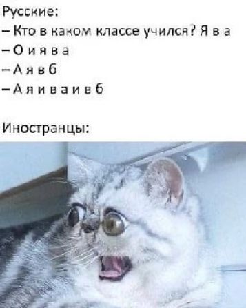 Русские: - Кто в каком классе учился? Я в а - О и я в а - А я в б - А я и в а и в б Иностранцы: