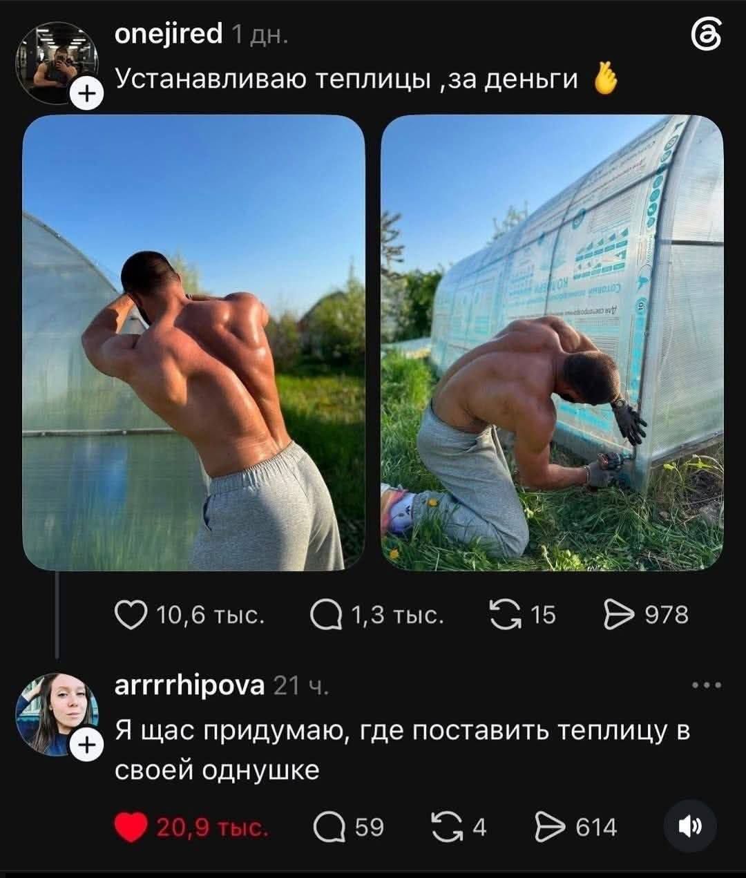Устанавливаю теплицы ,за деньги 👋 Я щас придумаю, где поставить теплицу в своей однушке
