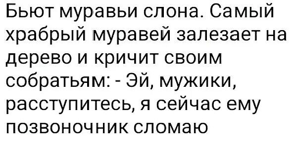 Бьют муравьи слона. Самый храбрый муравей залезает на дерево и кричит своим собратьям: - Эй, мужики, расступитесь, я сейчас ему позвоночник сломаю